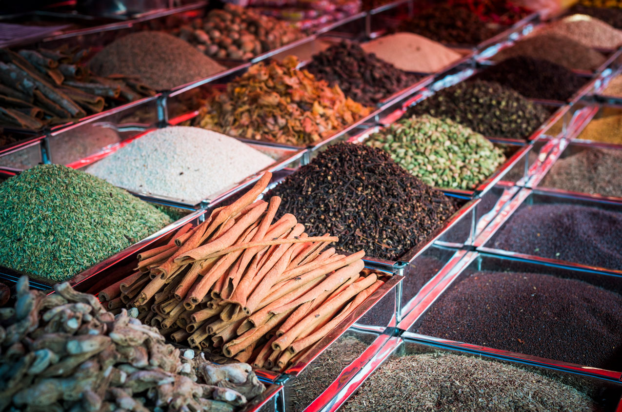 Spice Tour of Southern India